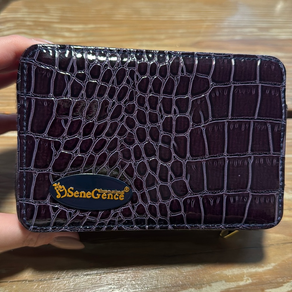 Senegence cosmetic clutch and lip sense